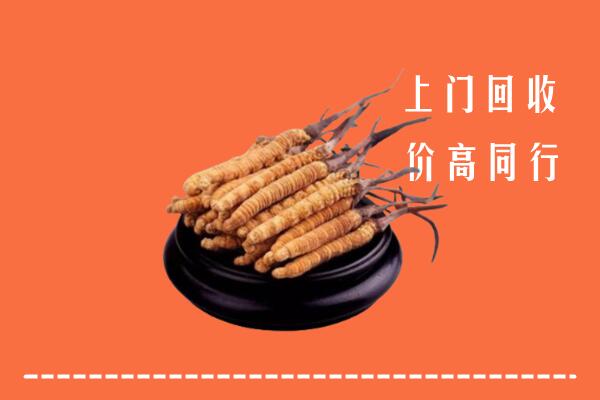 高价求购：齐齐哈尔市龙江县回收散虫草