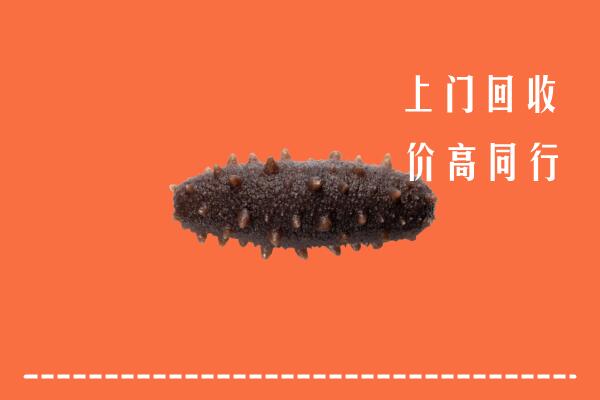 高价求购：齐齐哈尔市龙江县回收海参