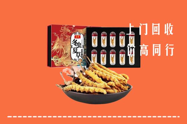 齐齐哈尔市龙江县回收虫草